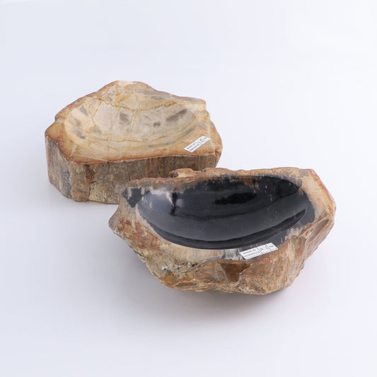 Petrified Wood Bowls Set of 2