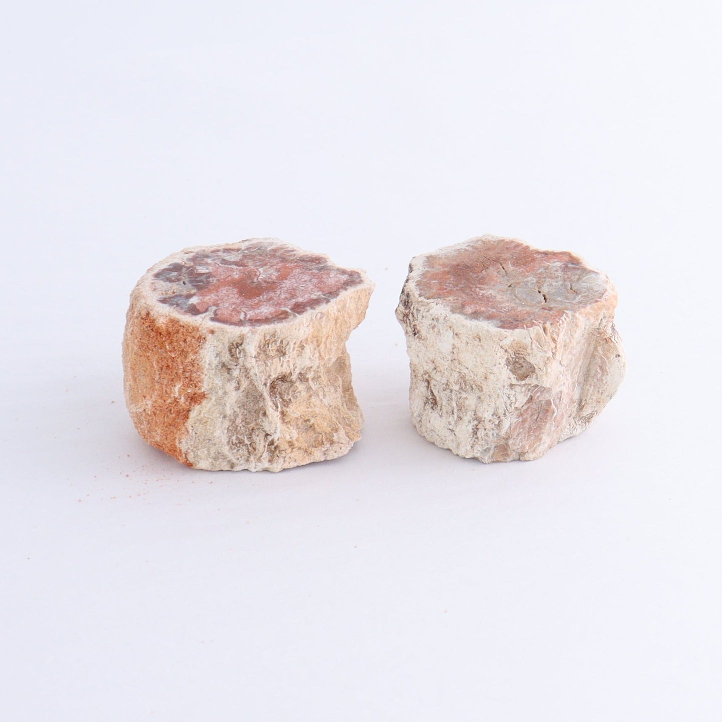 Petrified Wood Cut Bases Set of 10 - Expert Wholesale and Supplier of Wholesale Crystals & Bulk Gemstones, ["Cut Base","Petrified Wood"]