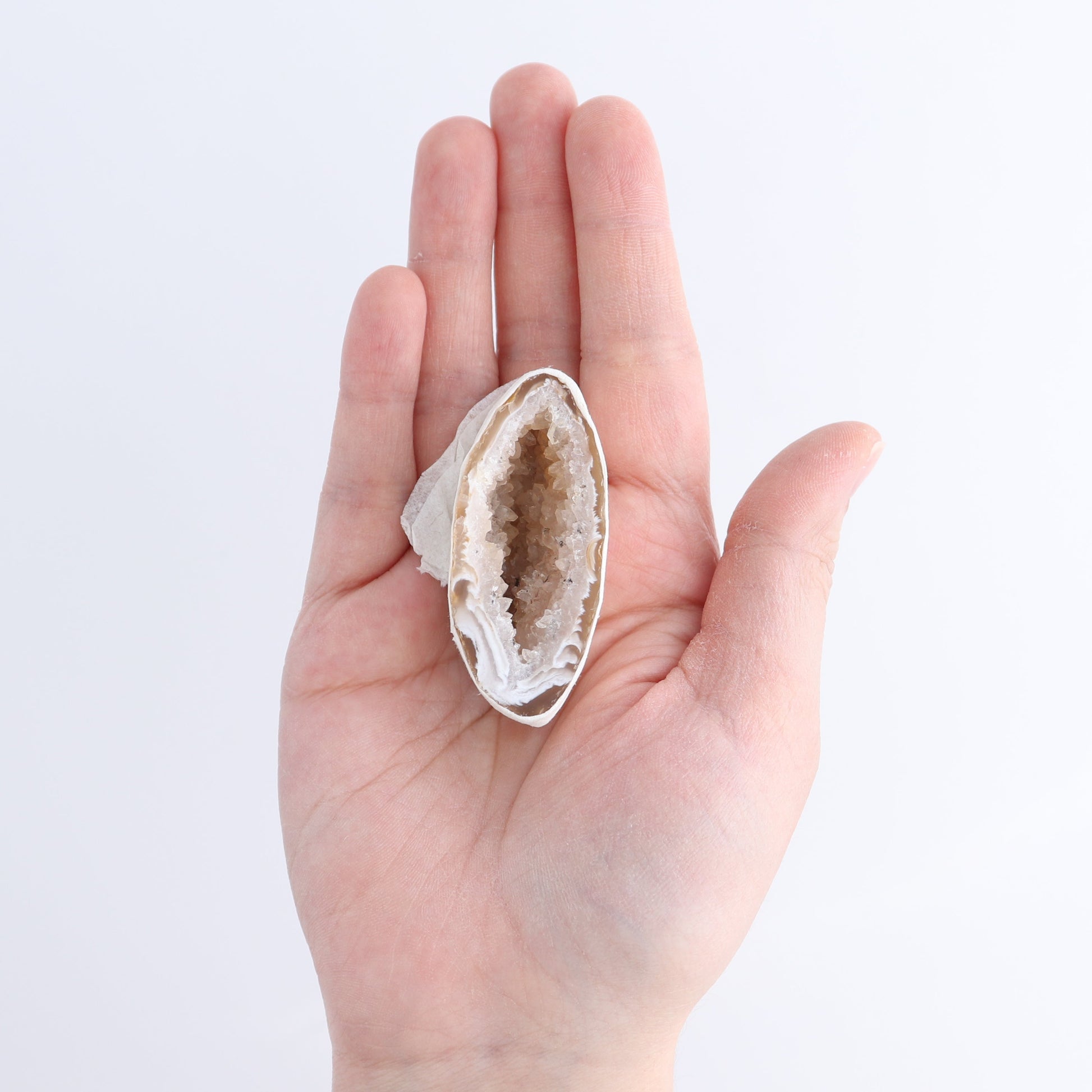 Agate Geodes Flat - Expert Wholesale and Supplier of Wholesale Crystals & Bulk Gemstones, ["Agate","Geodes"]