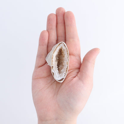 Agate Geodes Flat - Expert Wholesale and Supplier of Wholesale Crystals & Bulk Gemstones, ["Agate","Geodes"]