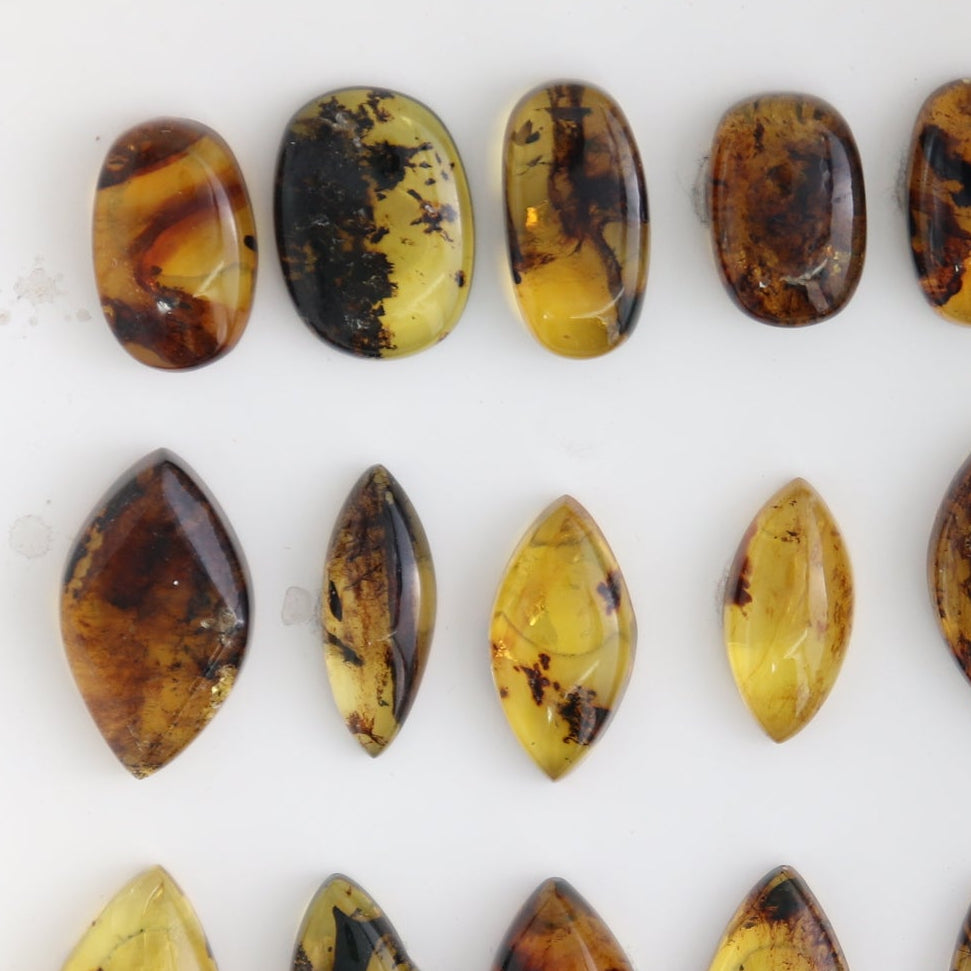 Chiapas Mexico Amber Cabs Set of 23