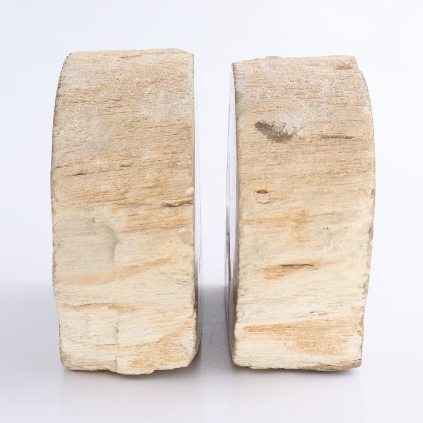 Bookends Petrified Wood - Expert Wholesale and Supplier of Wholesale Crystals & Bulk Gemstones, ["Bookends","Indonesia","Petrified Wood"]