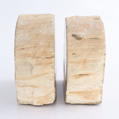 Bookends Petrified Wood - Expert Wholesale and Supplier of Wholesale Crystals & Bulk Gemstones, ["Bookends","Indonesia","Petrified Wood"]