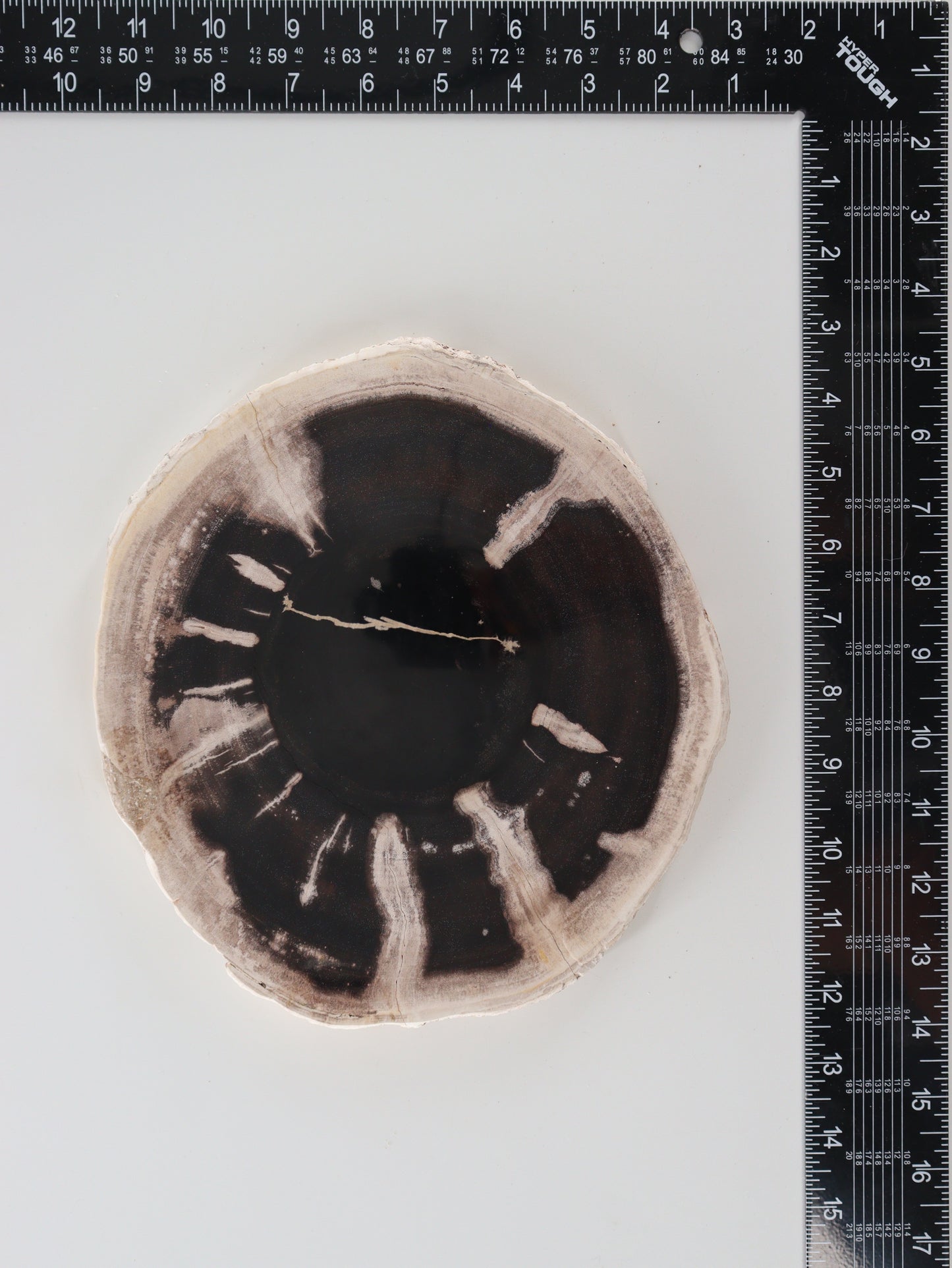 Petrified Wood Slices and Slabs Set of 3 - Expert Wholesale and Supplier of Wholesale Crystals & Bulk Gemstones, []