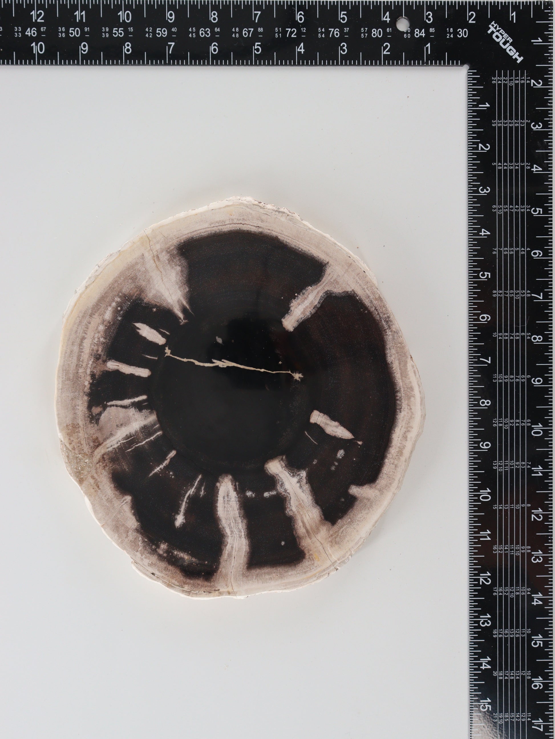 Petrified Wood Slices and Slabs Set of 3 - Expert Wholesale and Supplier of Wholesale Crystals & Bulk Gemstones, []
