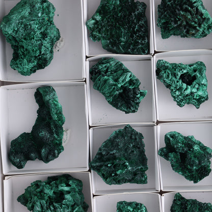 Malachite Flat of 30 - Expert Wholesale and Supplier of Wholesale Crystals & Bulk Gemstones, ["Congo","Flats","Malachite"]
