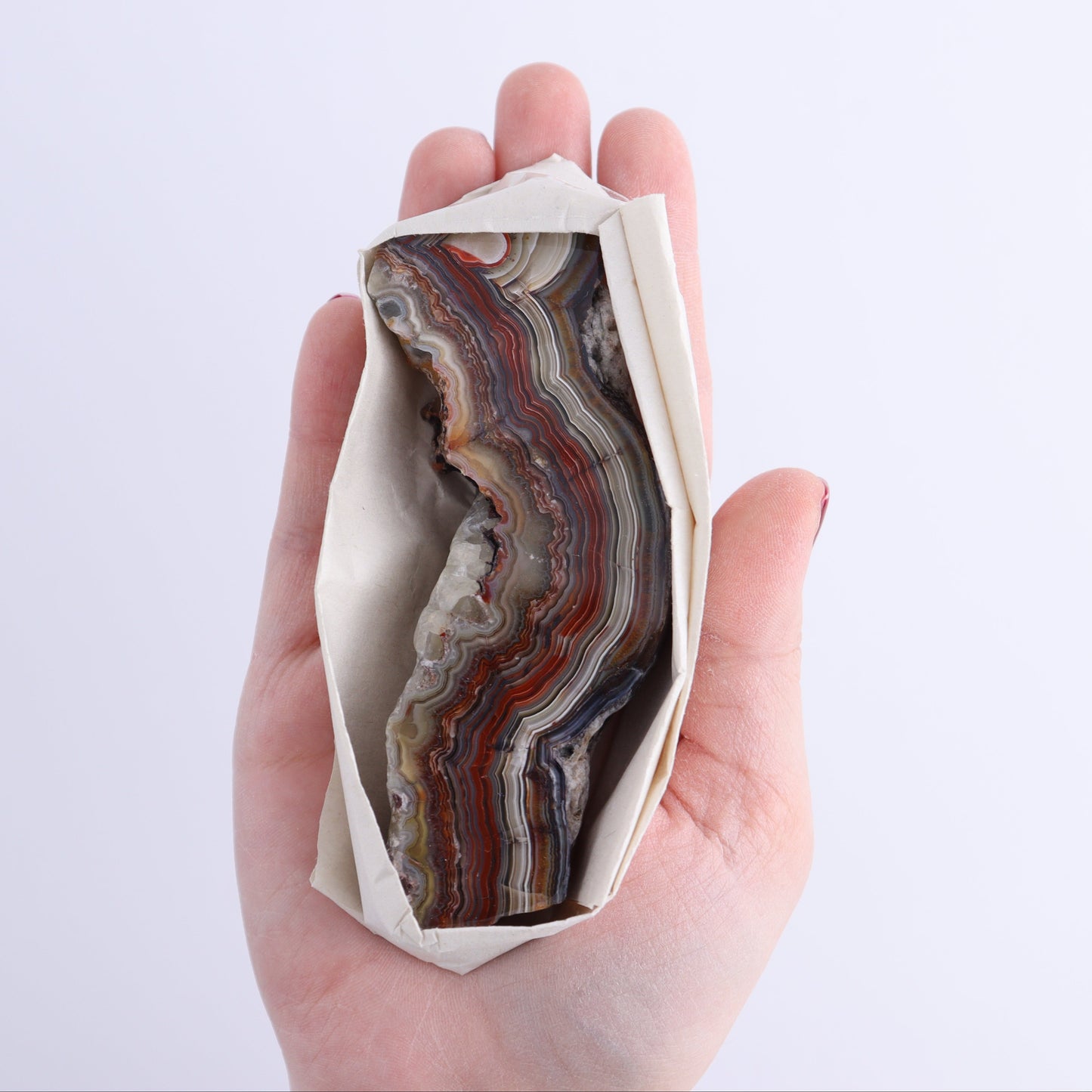 Crazy Lace Agate Flat of 12 - Expert Wholesale and Supplier of Wholesale Crystals & Bulk Gemstones, ["Crazy Lace Agate","Mexico"]