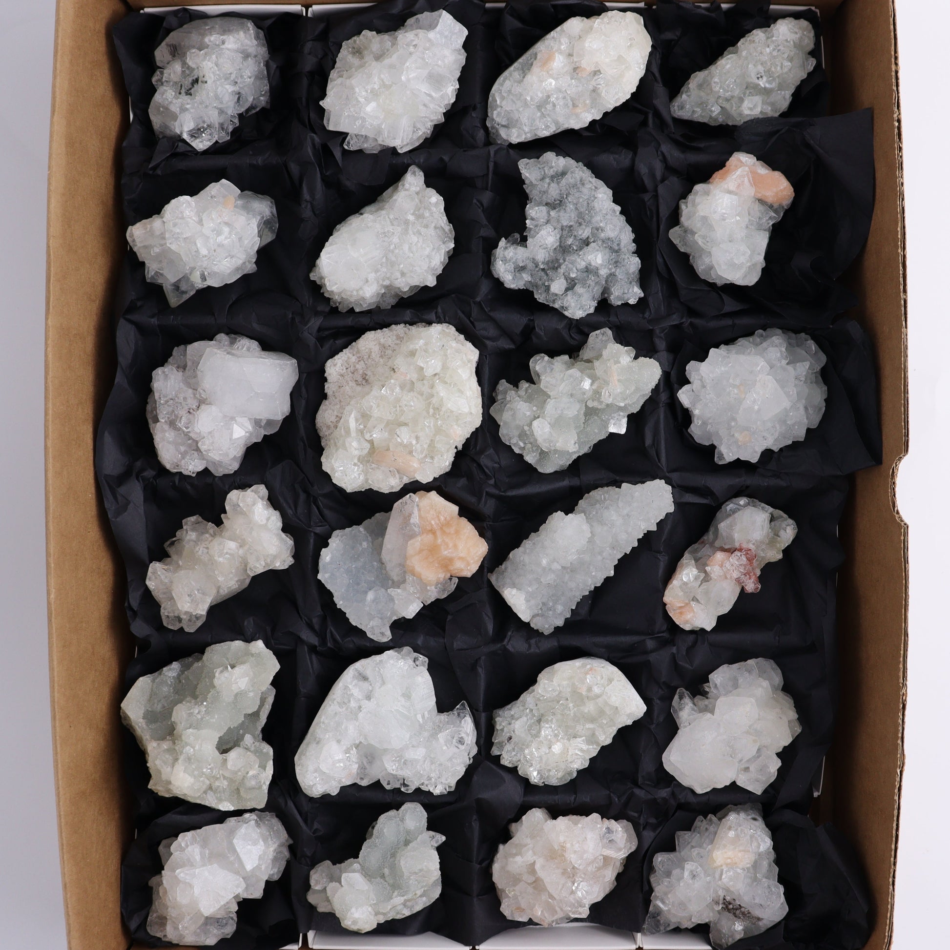 Apophyllite Clusters Flat of 24 - Expert Wholesale and Supplier of Wholesale Crystals & Bulk Gemstones, ["Apophyllite","Clusters","Flats"]
