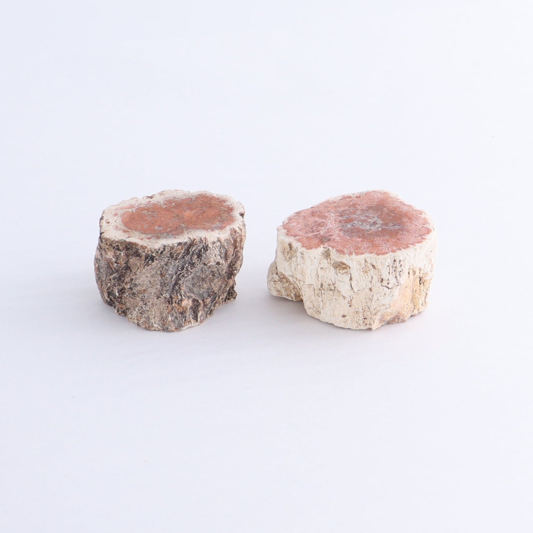 Petrified Wood Cut Bases Set of 10 - Expert Wholesale and Supplier of Wholesale Crystals & Bulk Gemstones, ["Cut Base","Petrified Wood"]