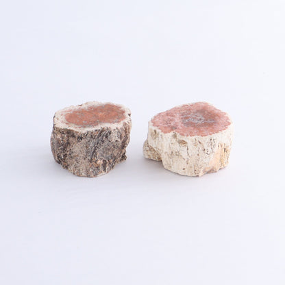 Petrified Wood Cut Bases Set of 10 - Expert Wholesale and Supplier of Wholesale Crystals & Bulk Gemstones, ["Cut Base","Petrified Wood"]