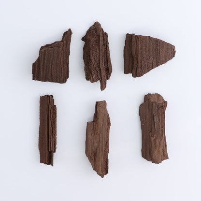 Permineralized Wood Flat of 24