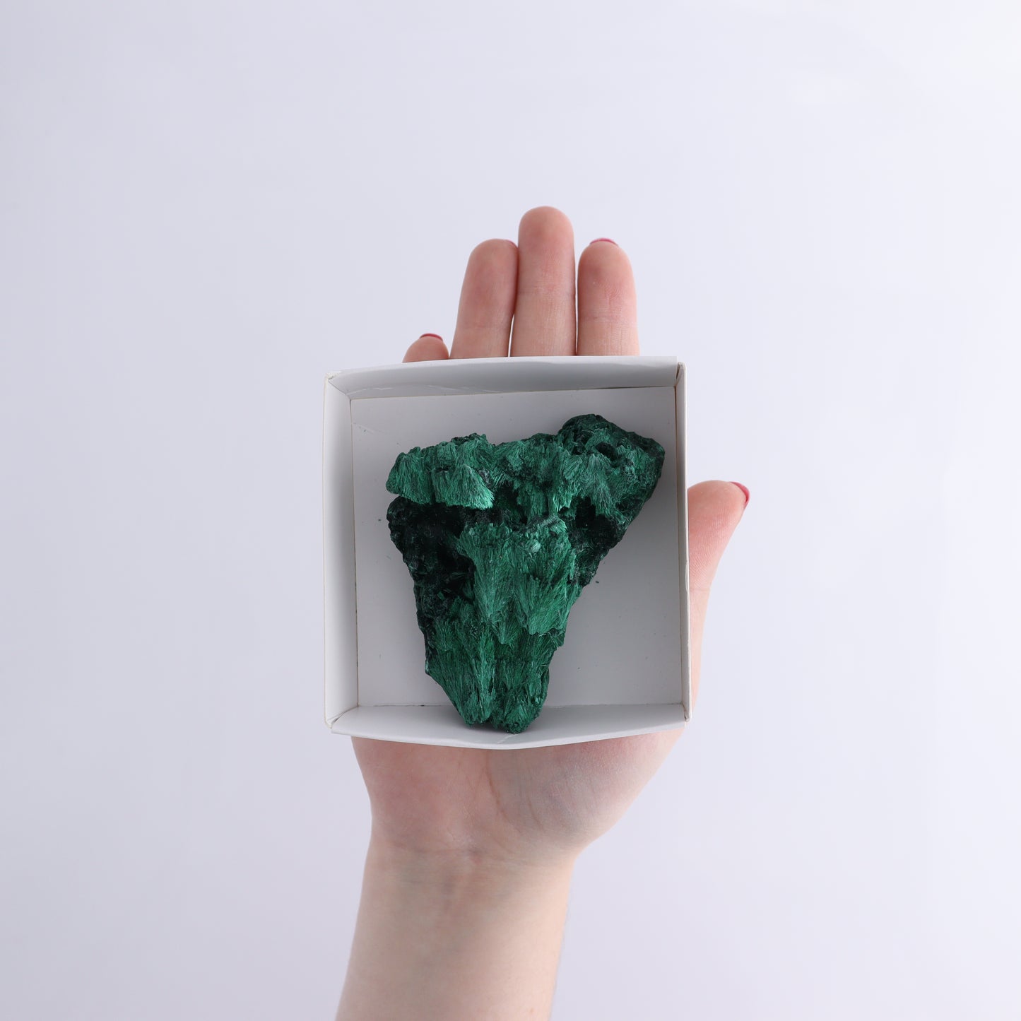 Malachite Flat of 30 - Expert Wholesale and Supplier of Wholesale Crystals & Bulk Gemstones, ["Congo","Flats","Malachite"]