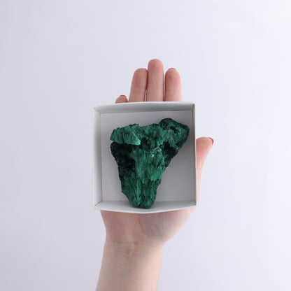 Malachite Flat of 30 - Expert Wholesale and Supplier of Wholesale Crystals & Bulk Gemstones, ["Congo","Flats","Malachite"]