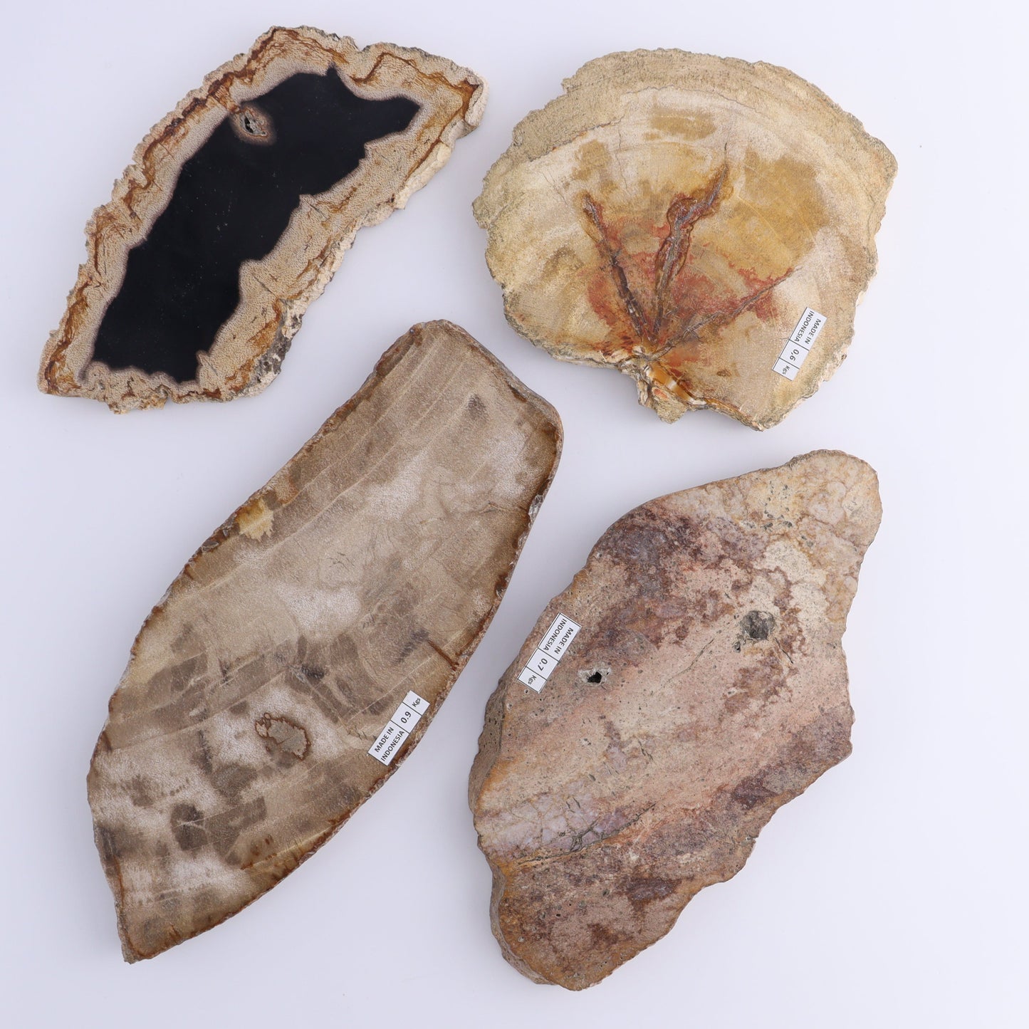 Petrified Wood Slices & Slabs Set of 4 - Expert Wholesale and Supplier of Wholesale Crystals & Bulk Gemstones, ["Freeforms","Indonesia","Petrified Wood","Slices and Slabs"]