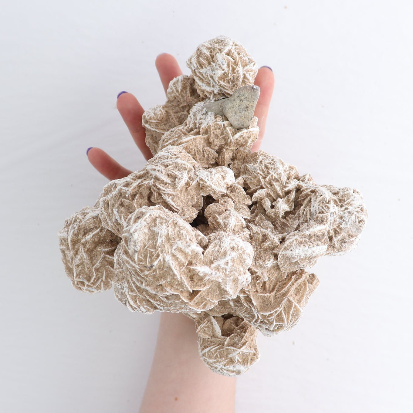 Desert Rose Set of 2