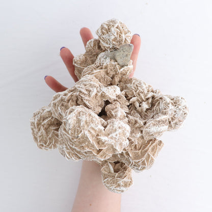 Desert Rose Set of 2