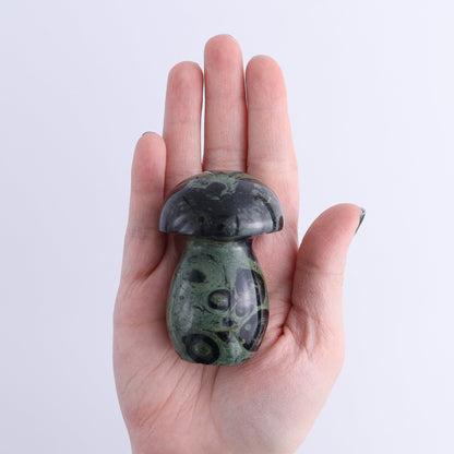 Kambaba Jasper Mushrooms Set of 7 - Expert Wholesale and Supplier of Wholesale Crystals & Bulk Gemstones, ["Kambaba Jasper","Madagascar","Mushrooms"]