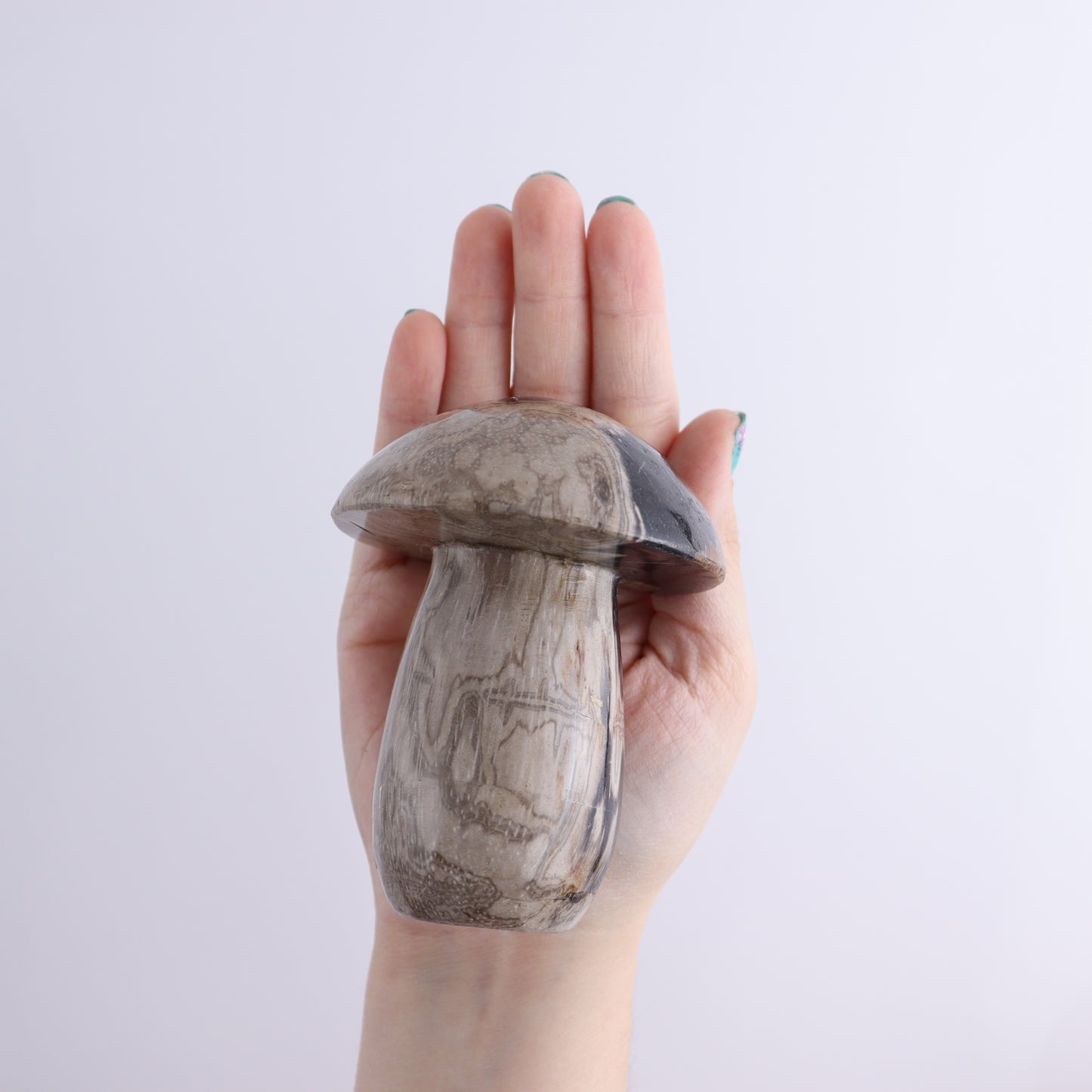 Petrified Wood Mushrooms Set of 4 - Expert Wholesale and Supplier of Wholesale Crystals & Bulk Gemstones, ["Indonesia","Mushrooms","Petrified Wood"]