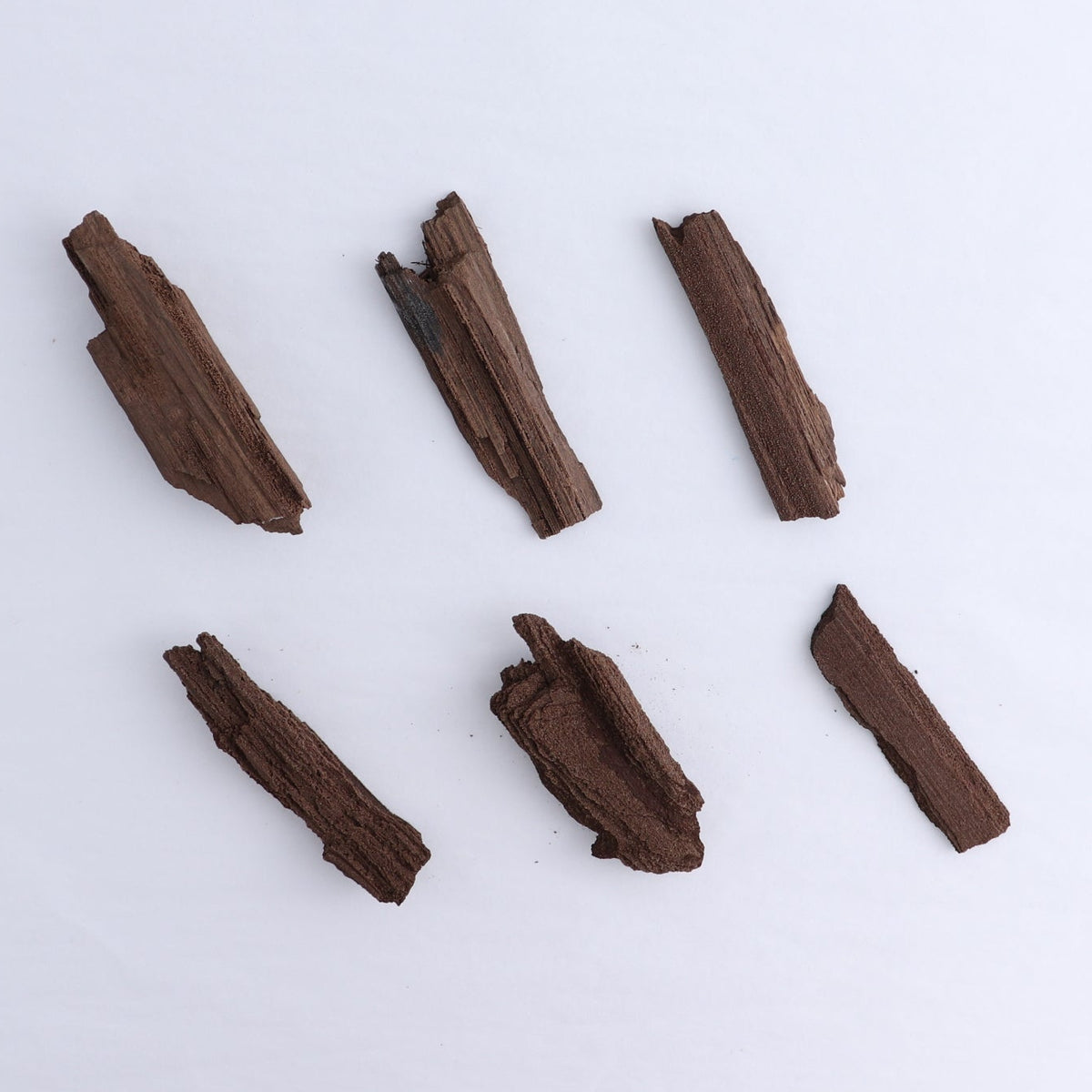Permineralized Wood Flat of 6