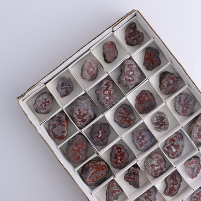 Agate Pseudo. Barite Geodes Flat of 34 - Expert Wholesale and Supplier of Wholesale Crystals & Bulk Gemstones, ["Agate","Agate Pseudo Barite","flat","Flats","Geodes","United States"]