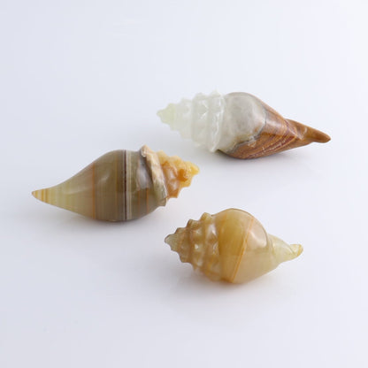 One Mexican Onyx/Calcite Shell Cut Base Green & Brown