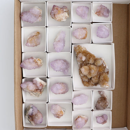 Cactus Quartz Set of 19