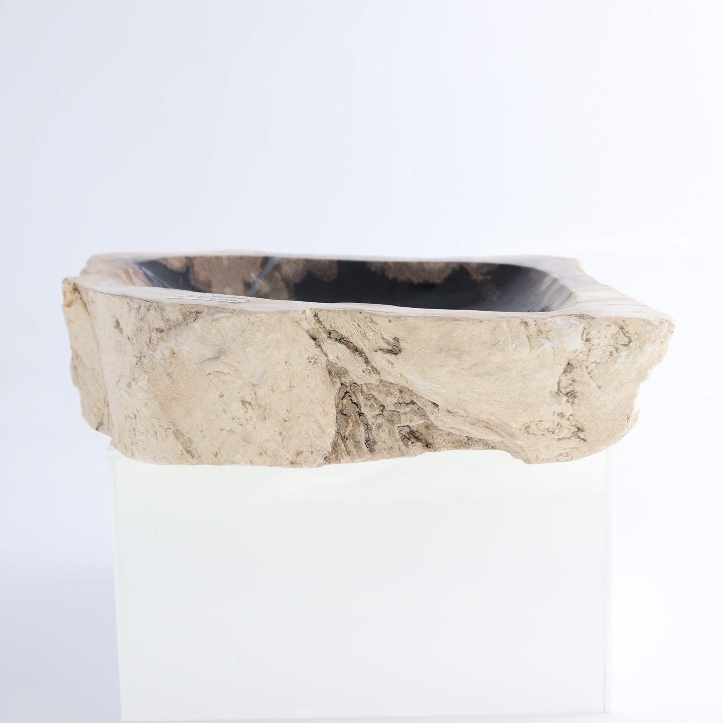 One Small Petrified Wood Brown & Black Rough Bowl