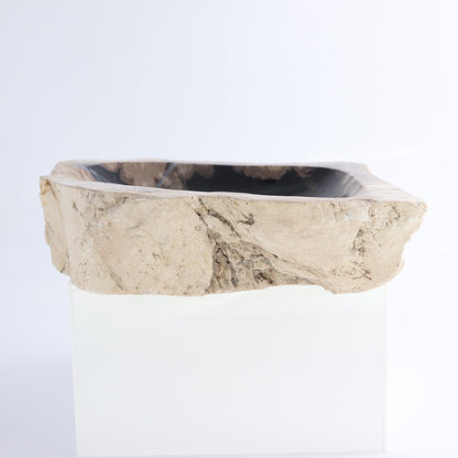 One Small Petrified Wood Brown & Black Rough Bowl