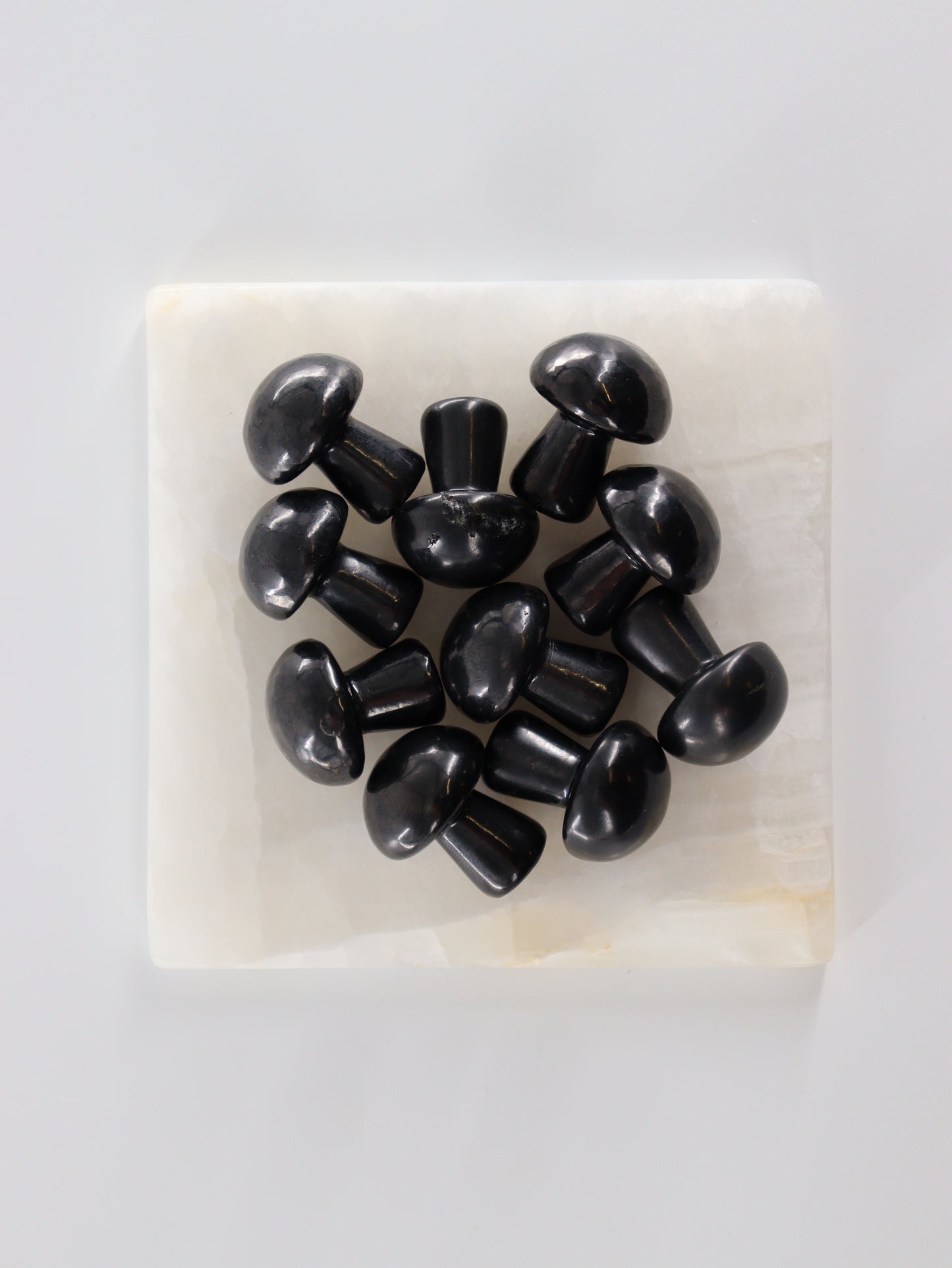 Shungite Mushrooms - Expert Supplier of Wholesale Crystals & Bulk Gemstones