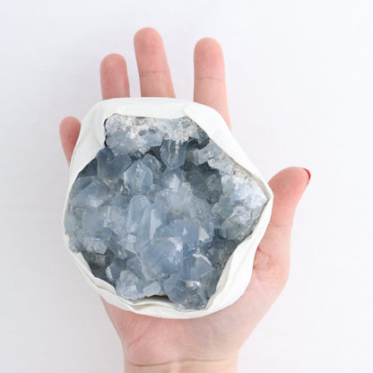 Celestite Clusters Set of 6