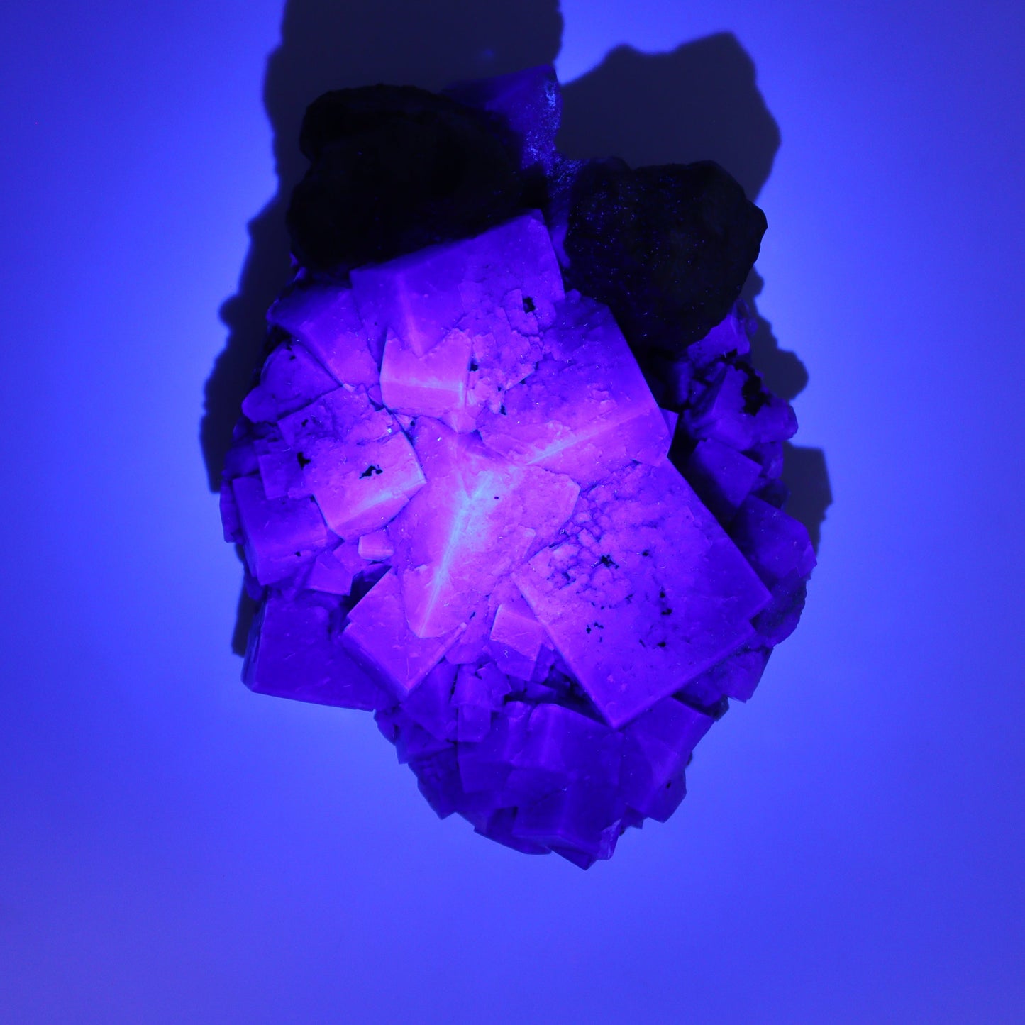 Fluorite Purple Rain Pocket Set of 7 - Expert Wholesale and Supplier of Wholesale Crystals & Bulk Gemstones, ["close_50","England","Fluorite","Purple Rain Pocket","Rough"]