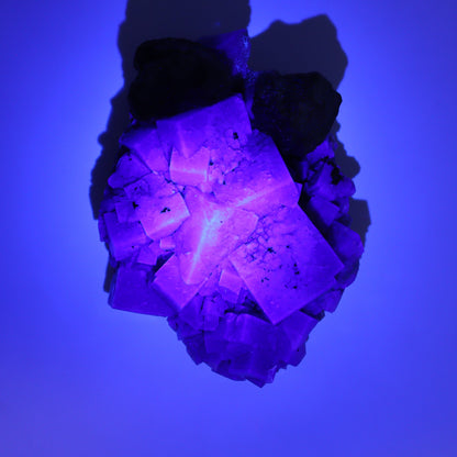 Fluorite Purple Rain Pocket Set of 7 - Expert Wholesale and Supplier of Wholesale Crystals & Bulk Gemstones, ["close_50","England","Fluorite","Purple Rain Pocket","Rough"]