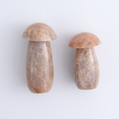 Peach Moonstone Mushrooms Set of 7