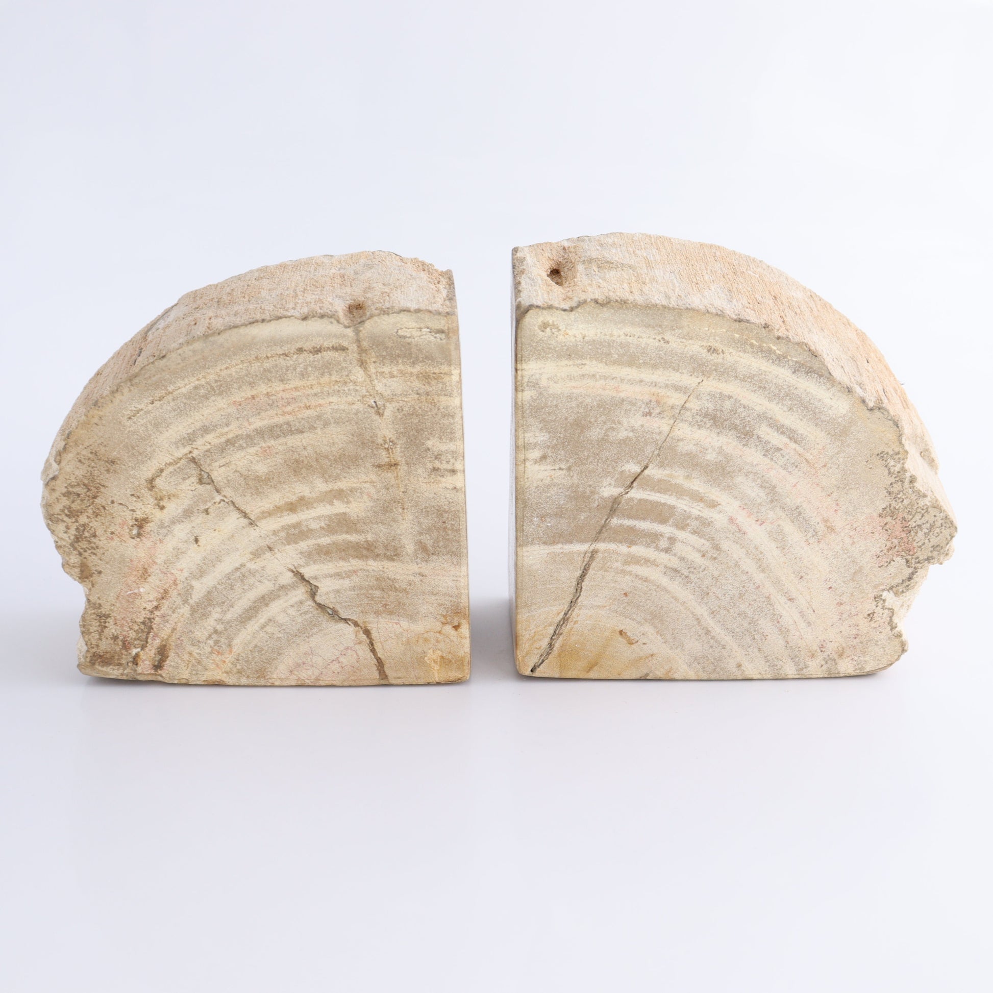 Bookends Petrified Wood - Expert Wholesale and Supplier of Wholesale Crystals & Bulk Gemstones, ["Bookends","Indonesia","Petrified Wood"]