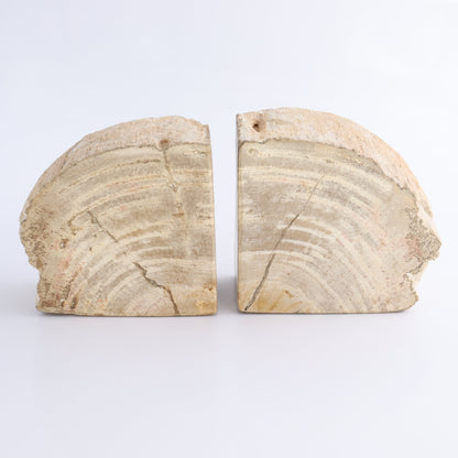 Bookends Petrified Wood - Expert Wholesale and Supplier of Wholesale Crystals & Bulk Gemstones, ["Bookends","Indonesia","Petrified Wood"]