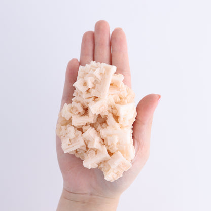 Halite on Trona from Owens Lake Set of 6 - Expert Wholesale and Supplier of Wholesale Crystals & Bulk Gemstones, ["California","close_30","Flats","Halite","halite on trona","Pink Halite","United States"]