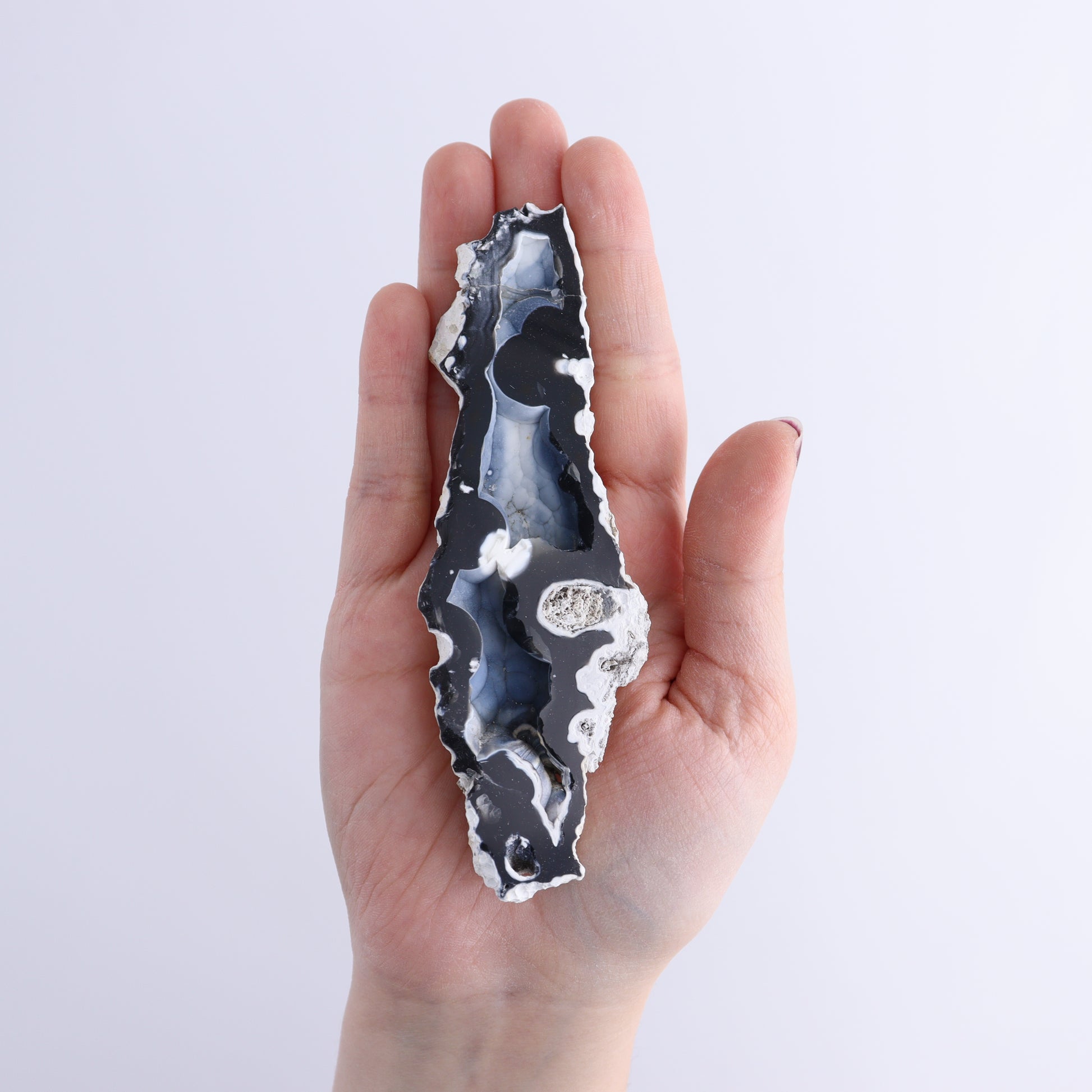 Agatized Coral Flat - Expert Wholesale and Supplier of Wholesale Crystals & Bulk Gemstones, ["Agate","Agatized Coral","Coral","United States"]