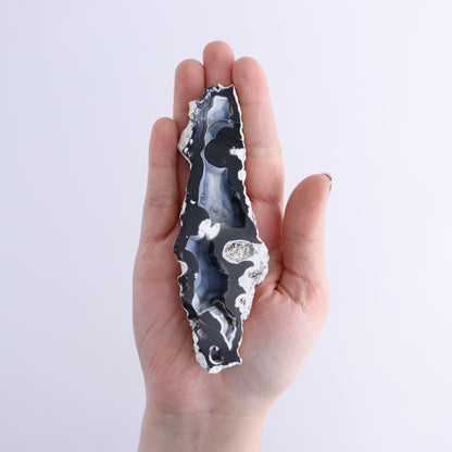 Agatized Coral Flat - Expert Wholesale and Supplier of Wholesale Crystals & Bulk Gemstones, ["Agate","Agatized Coral","Coral","United States"]