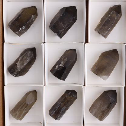 Smoky Quartz Polished Tops Set of 12 - Expert Wholesale and Supplier of Wholesale Crystals & Bulk Gemstones, ["Brazil","close_70","Points","Polished Tip","Quartz","Smoky Quartz"]