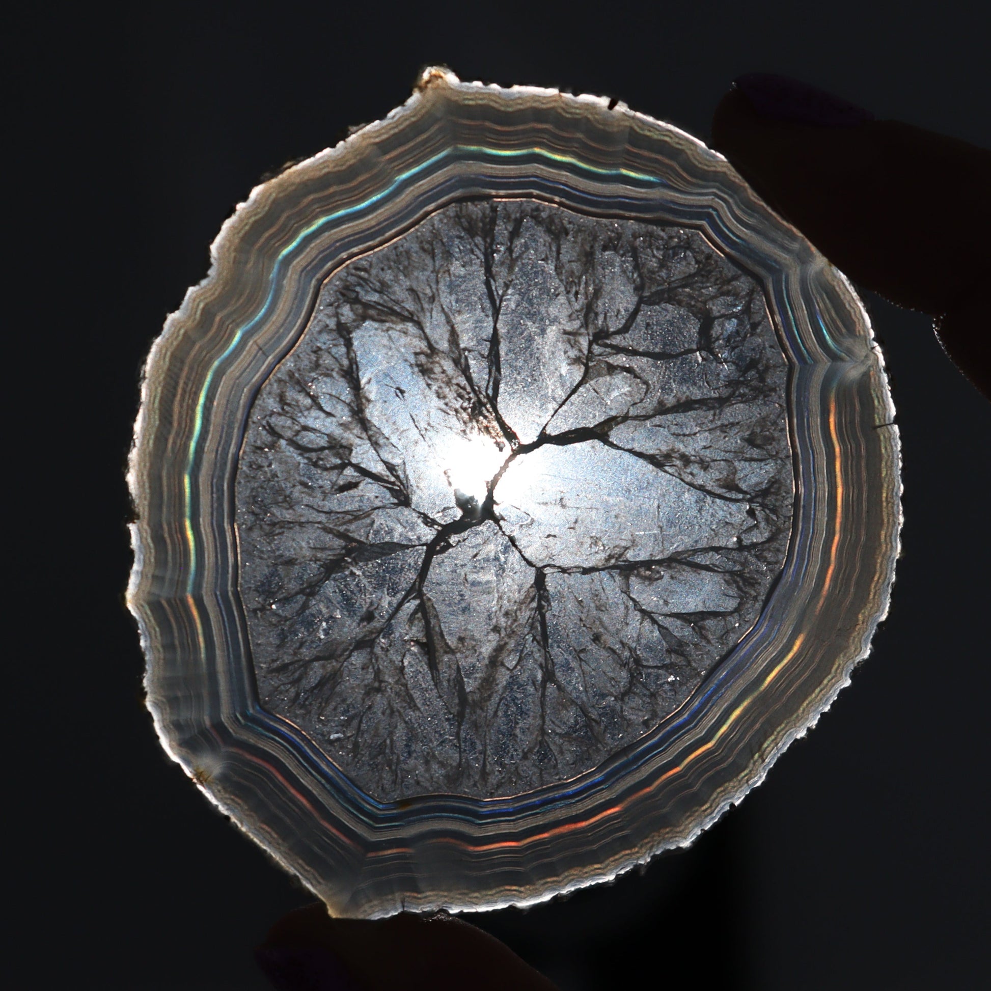 Iris Agate Slices Set of 6 - Expert Wholesale and Supplier of Wholesale Crystals & Bulk Gemstones, ["Agate","Iris Agate","Slices and Slabs"]