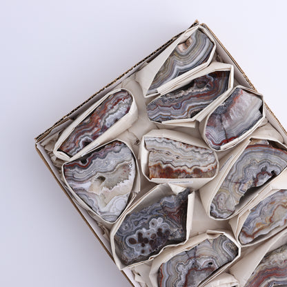 Crazy Lace Agate Flat of 12 - Expert Wholesale and Supplier of Wholesale Crystals & Bulk Gemstones, ["Crazy Lace Agate","Mexico"]