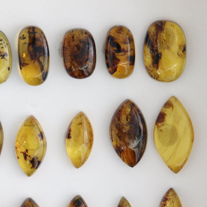 Chiapas Mexico Amber Cabs Set of 23