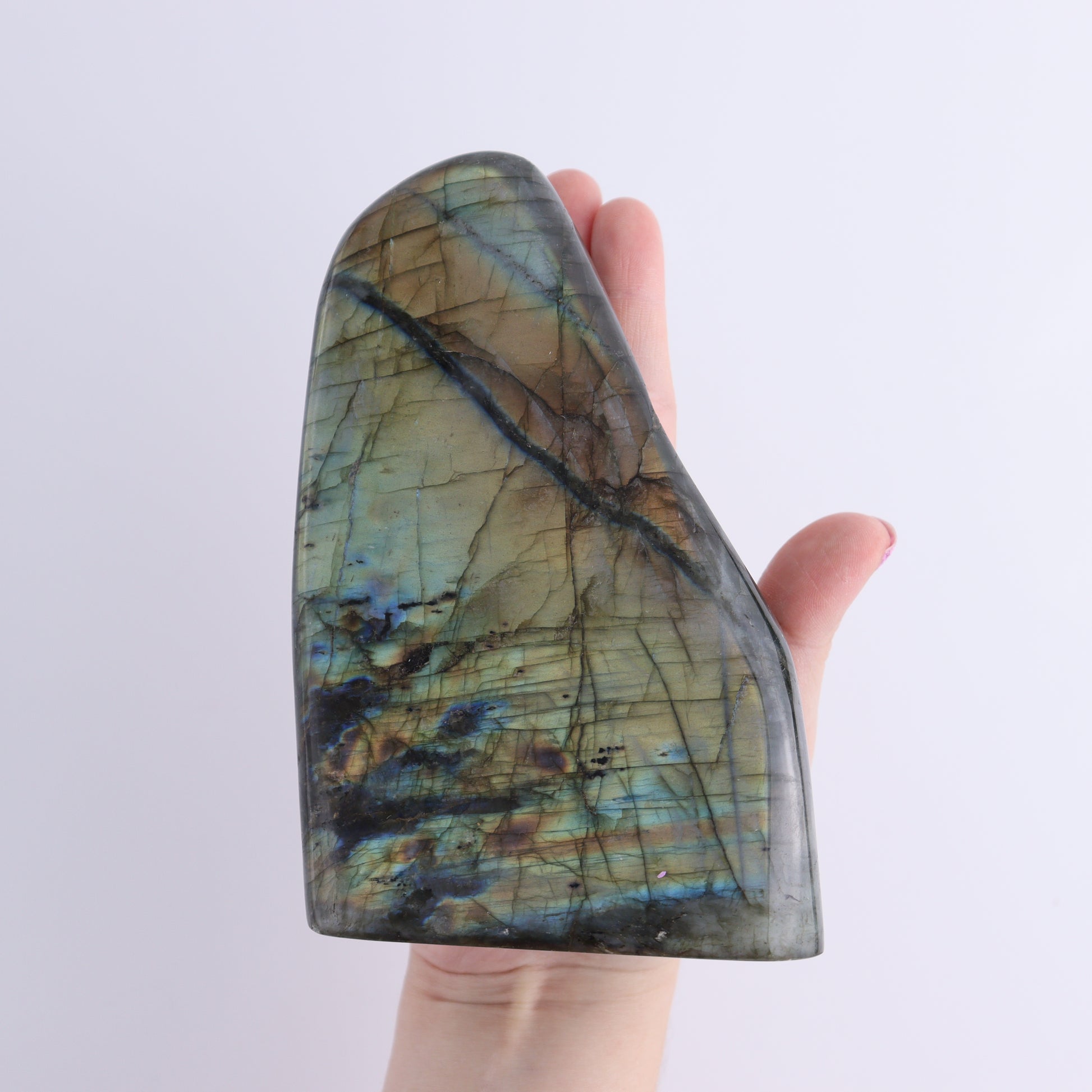 Labradorite Freeform Set of 4 - Expert Wholesale and Supplier of Wholesale Crystals & Bulk Gemstones, ["Freeforms","Labradorite","Madagascar"]