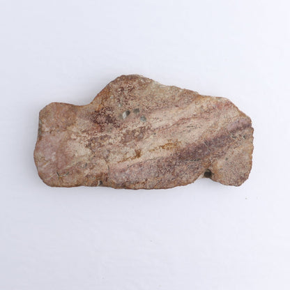 Petrified Wood Slices & Slabs Set of 4