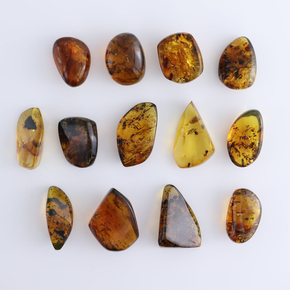Chiapas Mexico Amber Freeforms Set of 13
