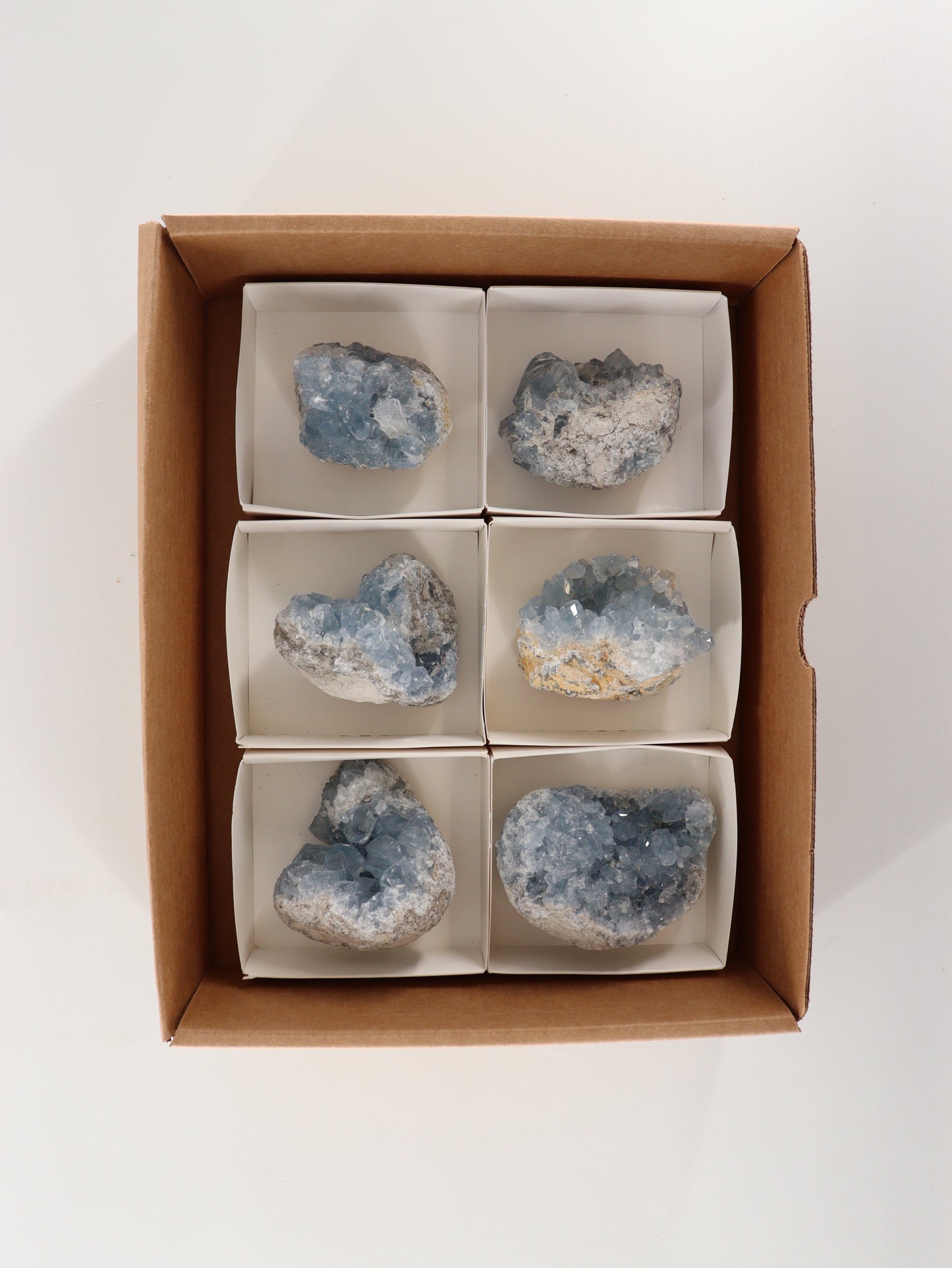 Celestite Clusters Set of 6 - Expert Wholesale and Supplier of Wholesale Crystals & Bulk Gemstones, []