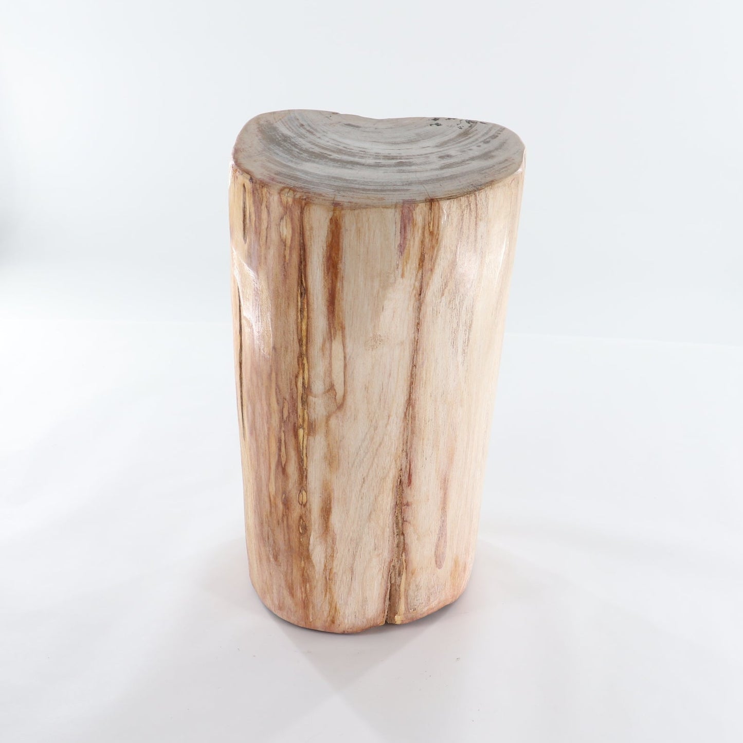 Petrified Wood Stool
