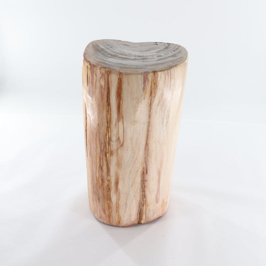 Petrified Wood Stool