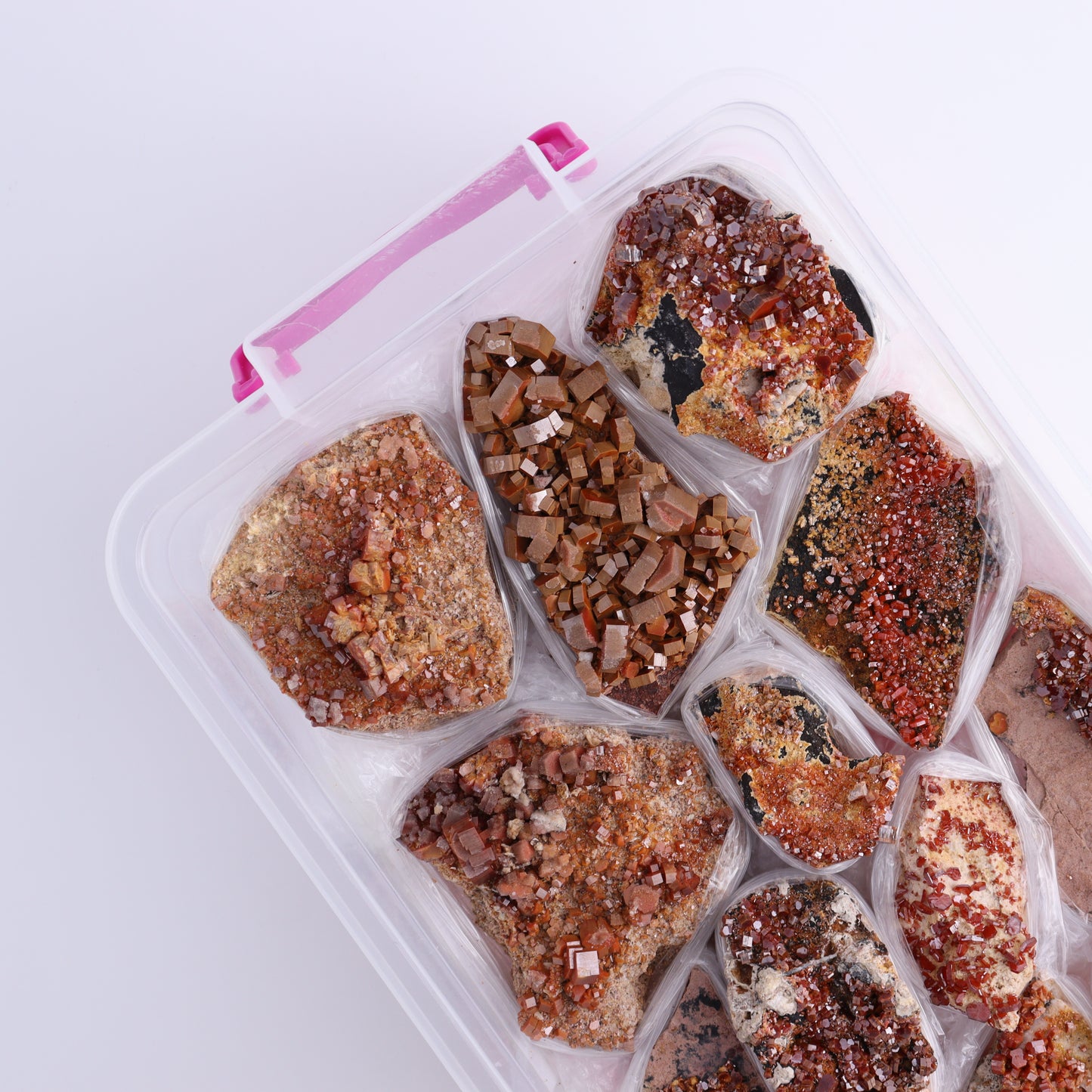 Vanadinite on Barite Flat from Morocco - Expert Wholesale and Supplier of Wholesale Crystals & Bulk Gemstones, ["Barite","Flats","Morocco","Vanadinite","Vanadinite Barite"]