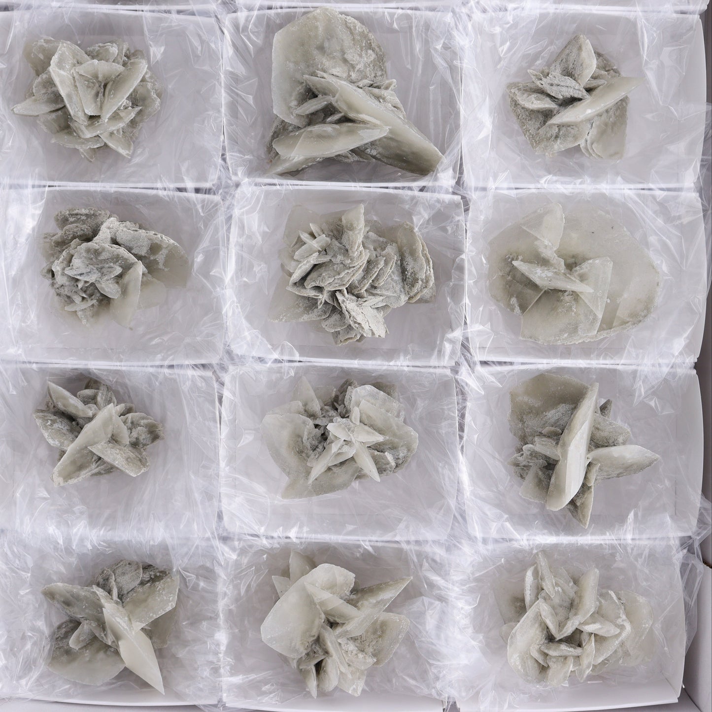 Selenite Clusters Set of 18 - Expert Wholesale and Supplier of Wholesale Crystals & Bulk Gemstones, ["Clusters","selenite"]